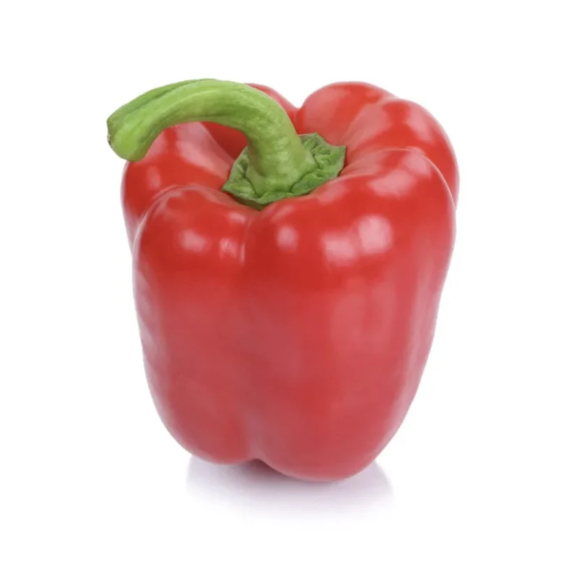 Capsicum CK - Seeds - Image 2