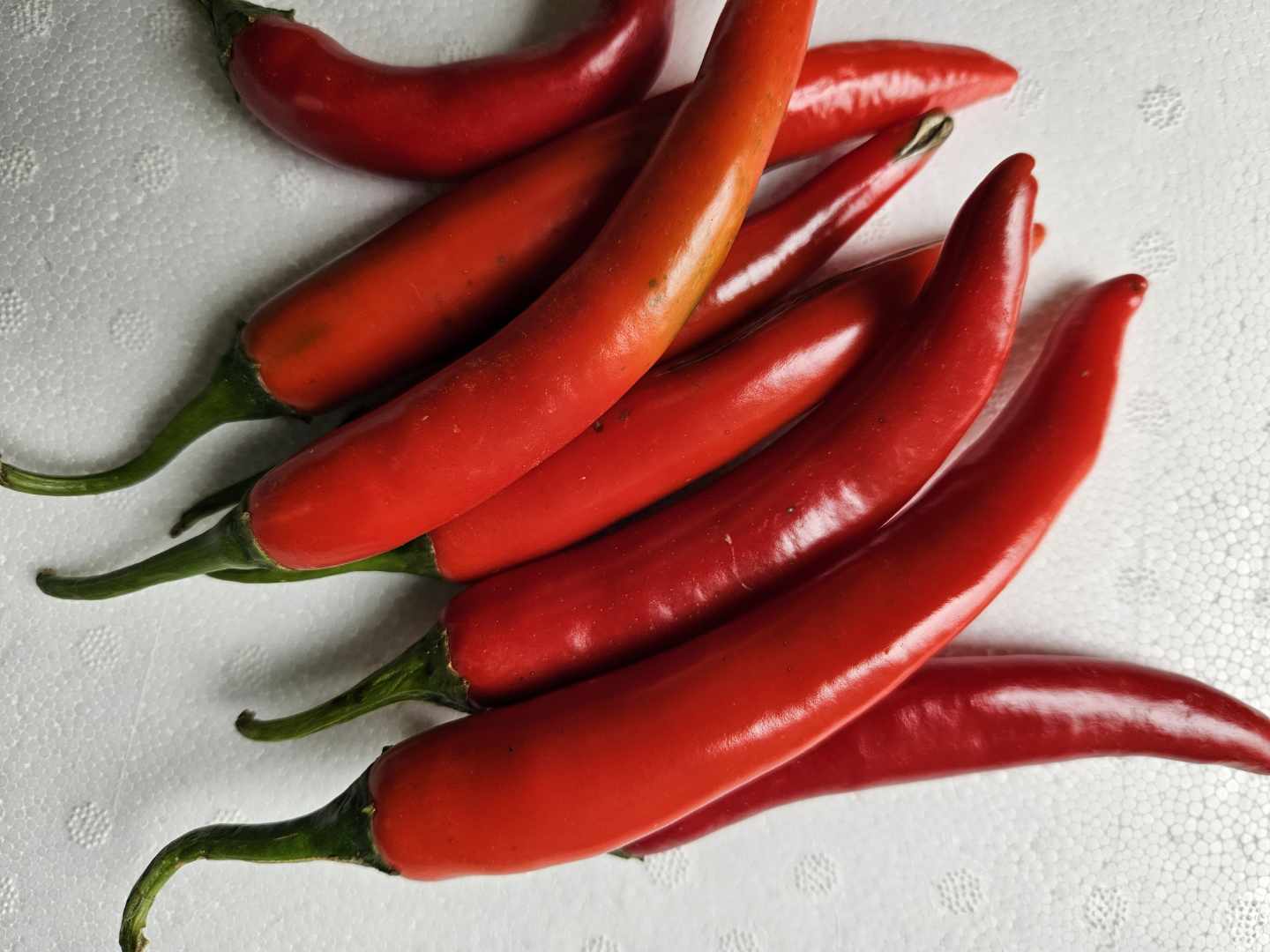 Cayenne CK - Seeds - Image 2