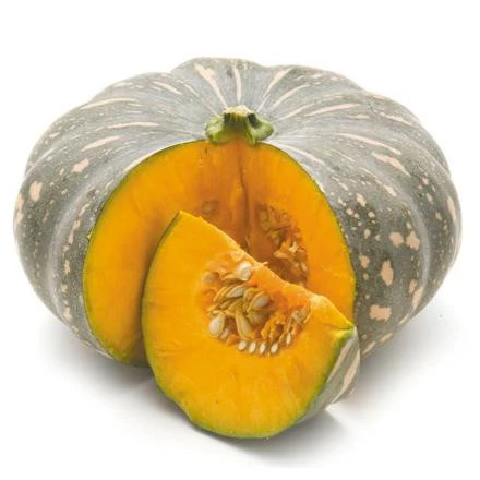 Pumpkin - Jap | Seeds