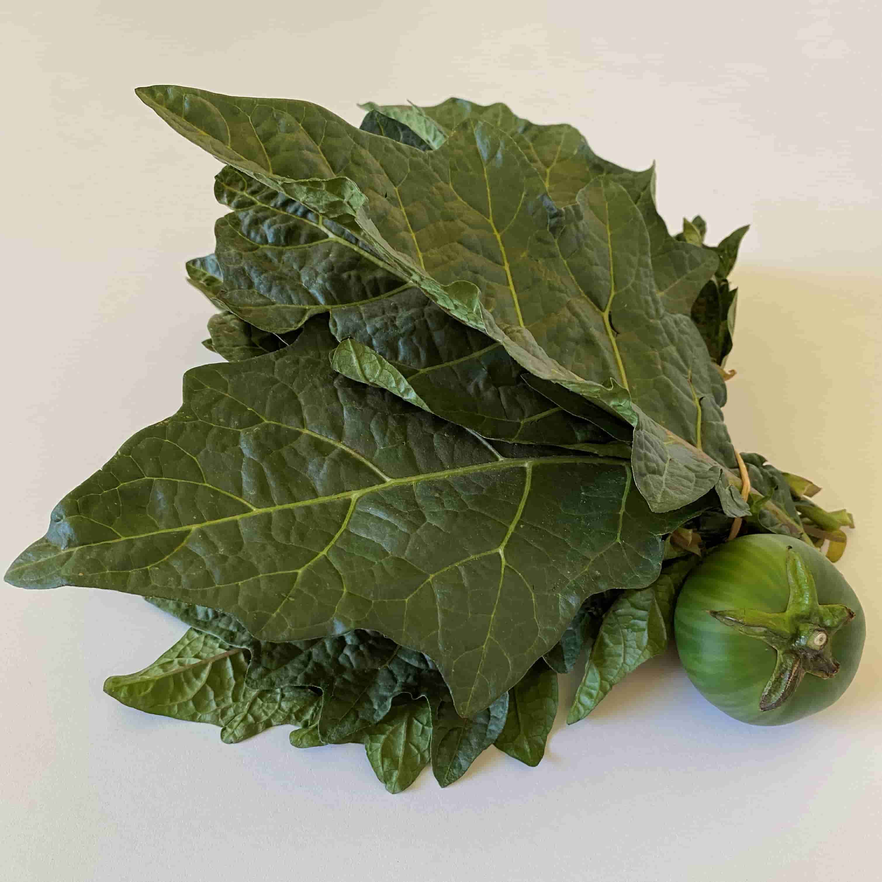 Thai Eggplant leaves - Fresh 5kg Box - Image 3